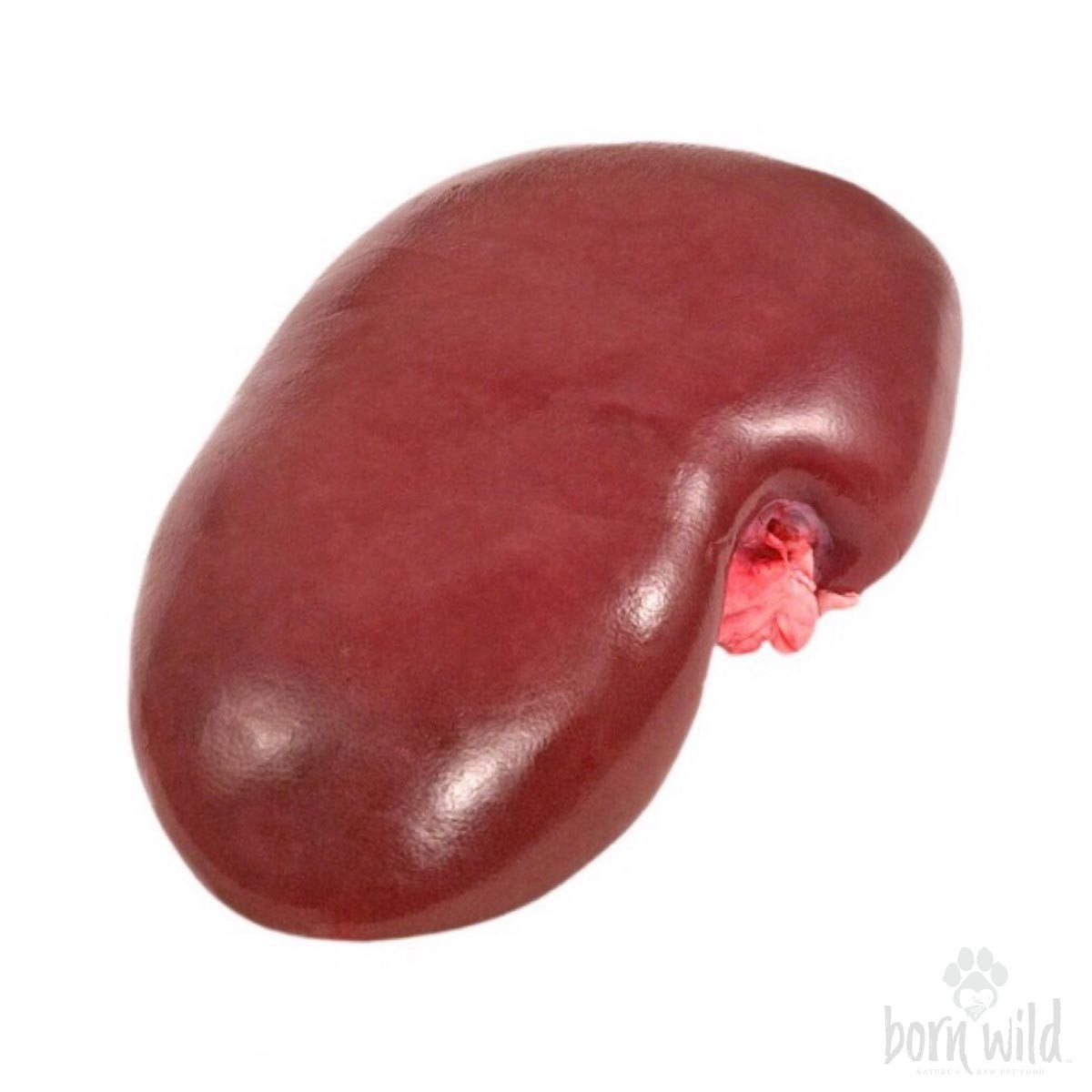 Pork Kidneys mcdglobalconcept