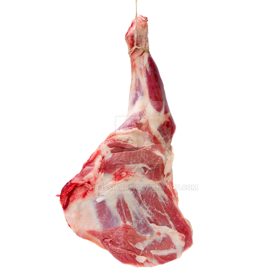 beef_thigh_meat_on_a_transparent_background_by_prussiaart_dd1wrkh-fullview