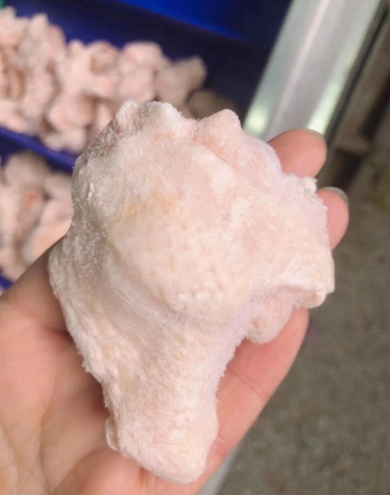 chicken drummet