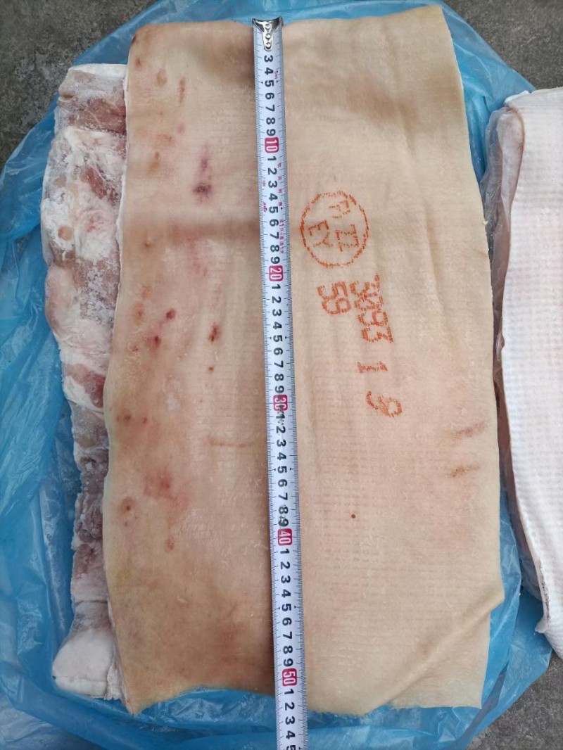 Frozen Pork Skin mcdglobalconcept