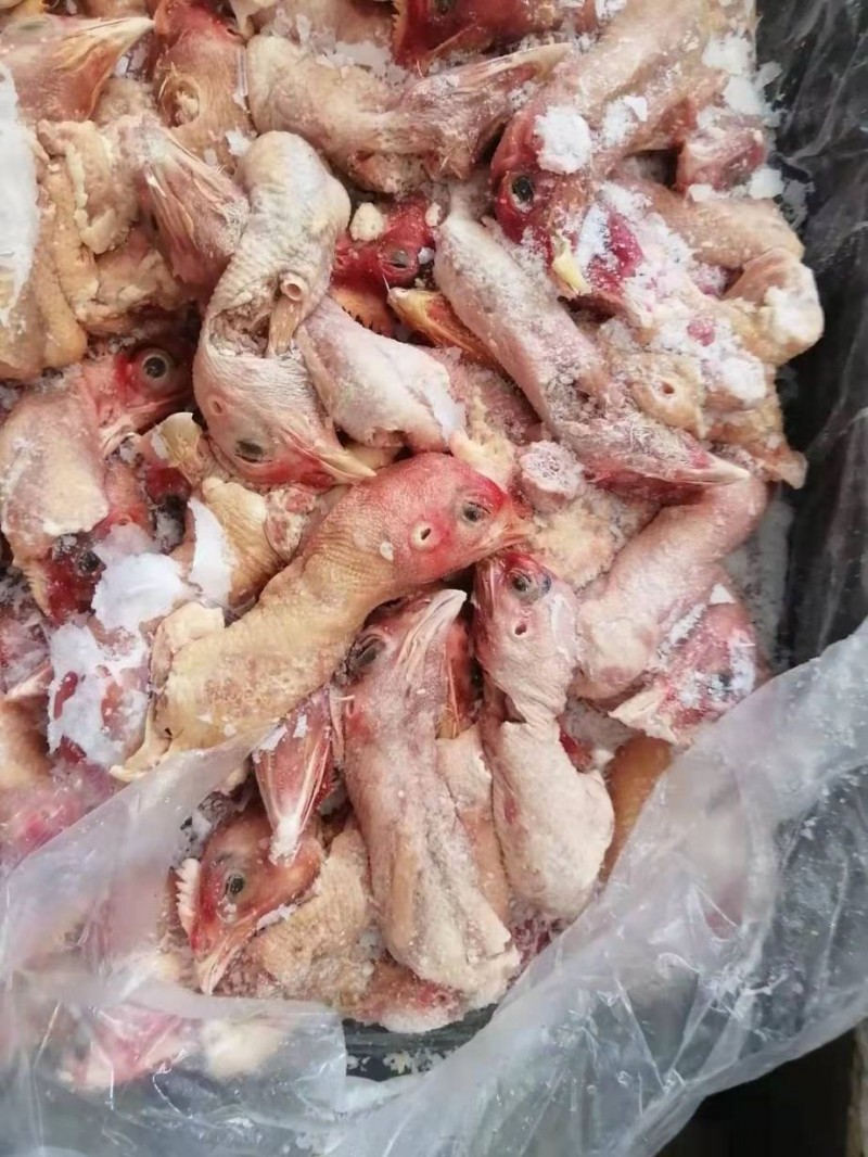 chicken heads